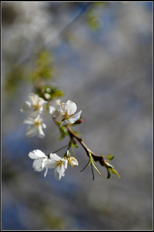 DSC_6305.JPG