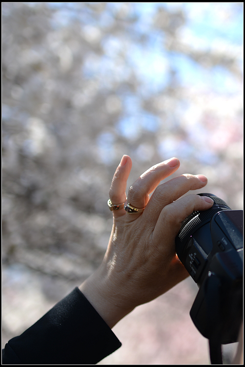 DSC_6354.JPG