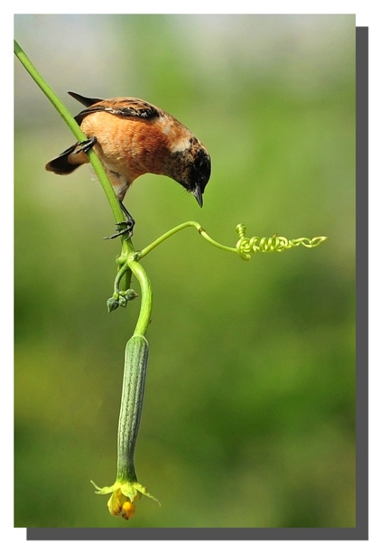 ��Ƭ 05821.jpg