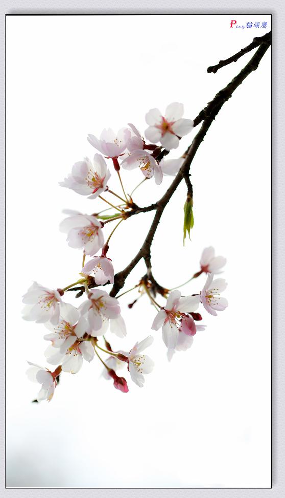 �}�u -04-18-2014--�~�s 077-3.jpg