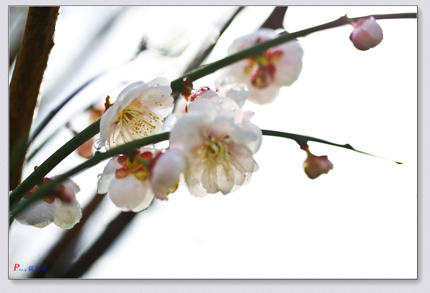 �}�u -04-11-2014-÷�� 105-9.jpg