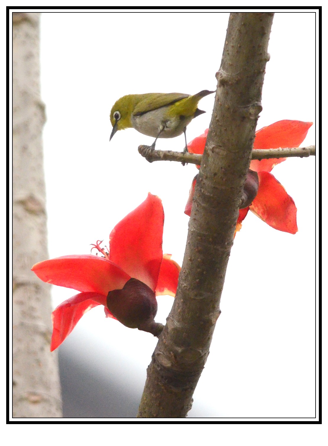 DSC_0014_conew1.jpg