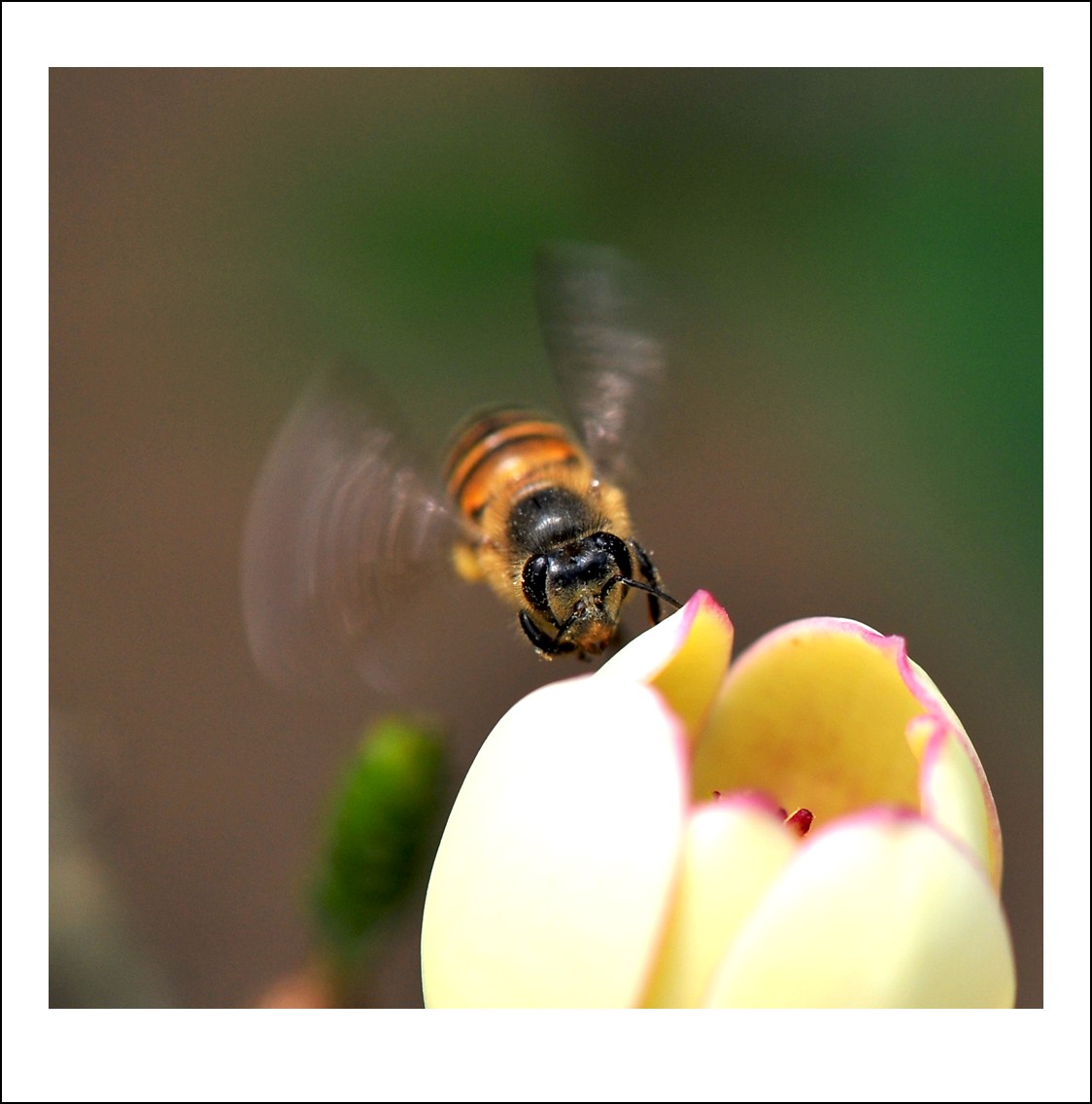 DSC_6179_conew1.jpg