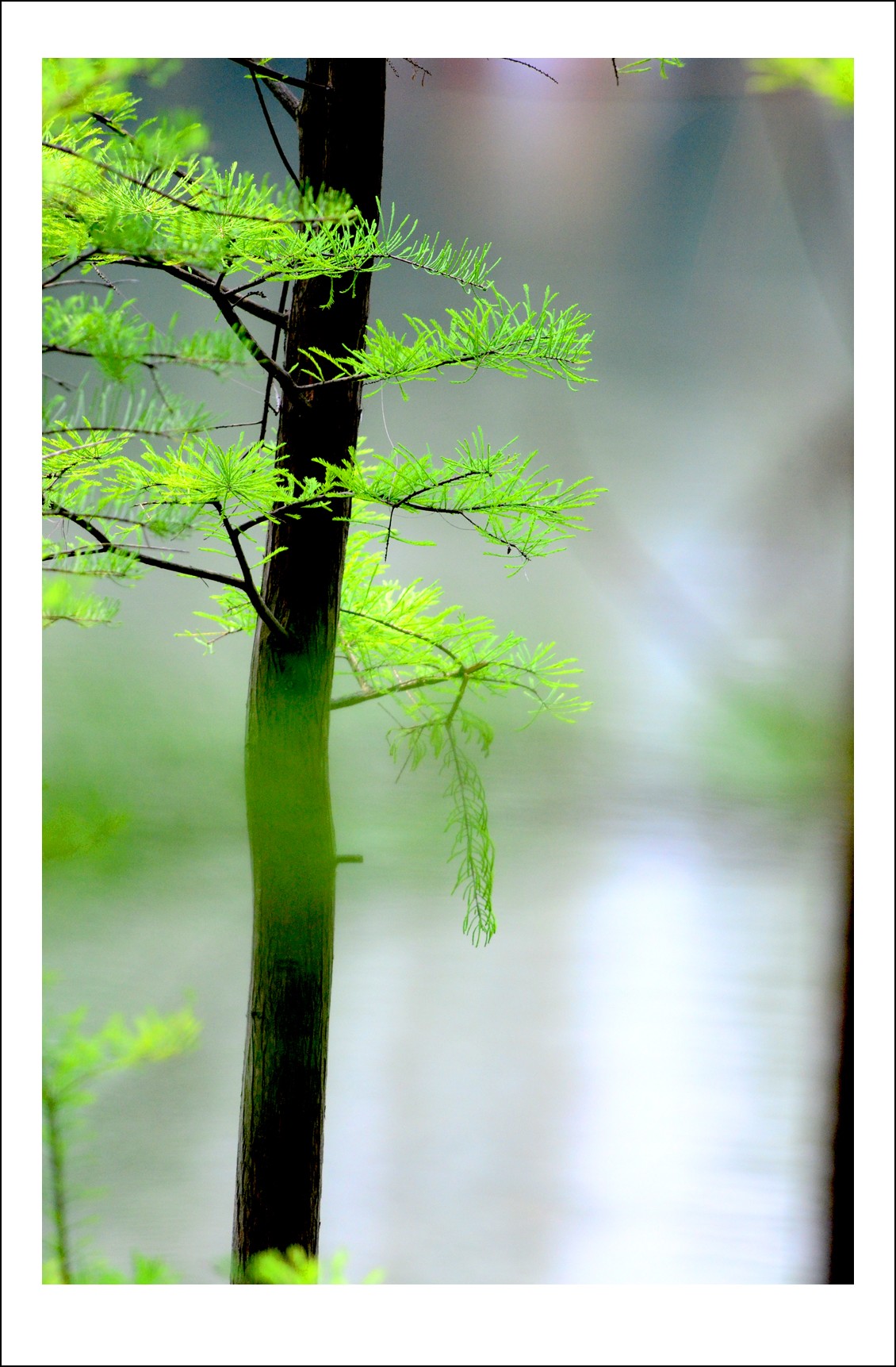 DSC_0789_conew1.jpg