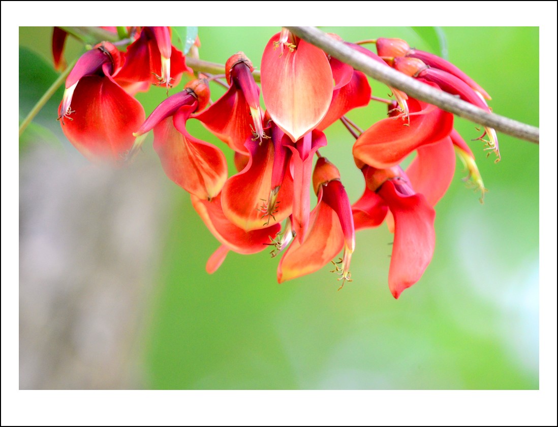 DSC_0749_conew1.jpg