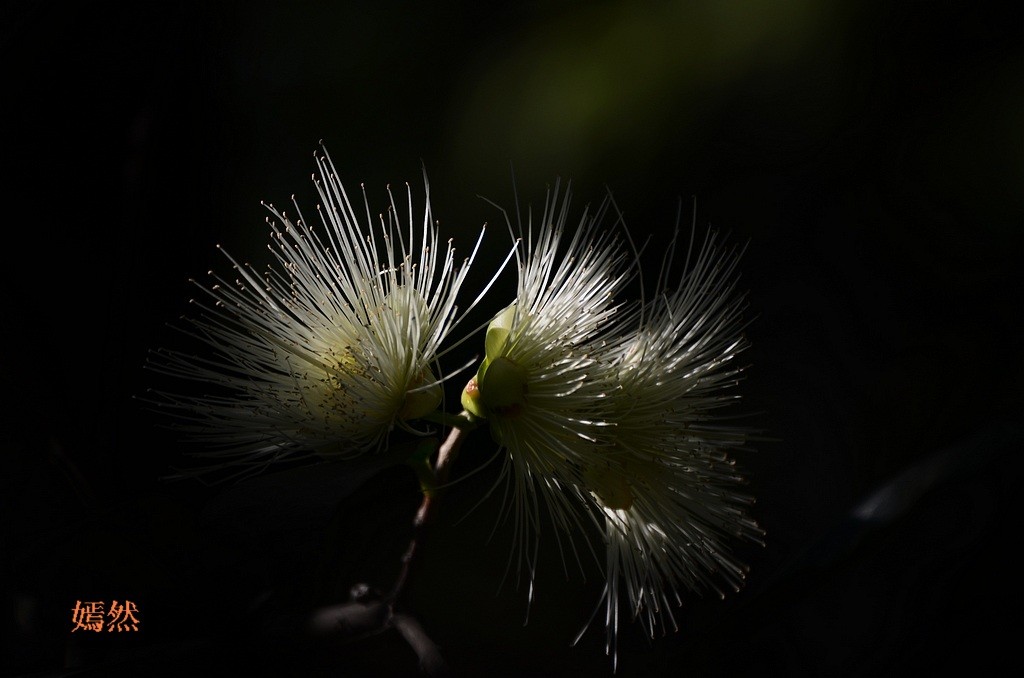 QQͼƬ20140420131622.jpg