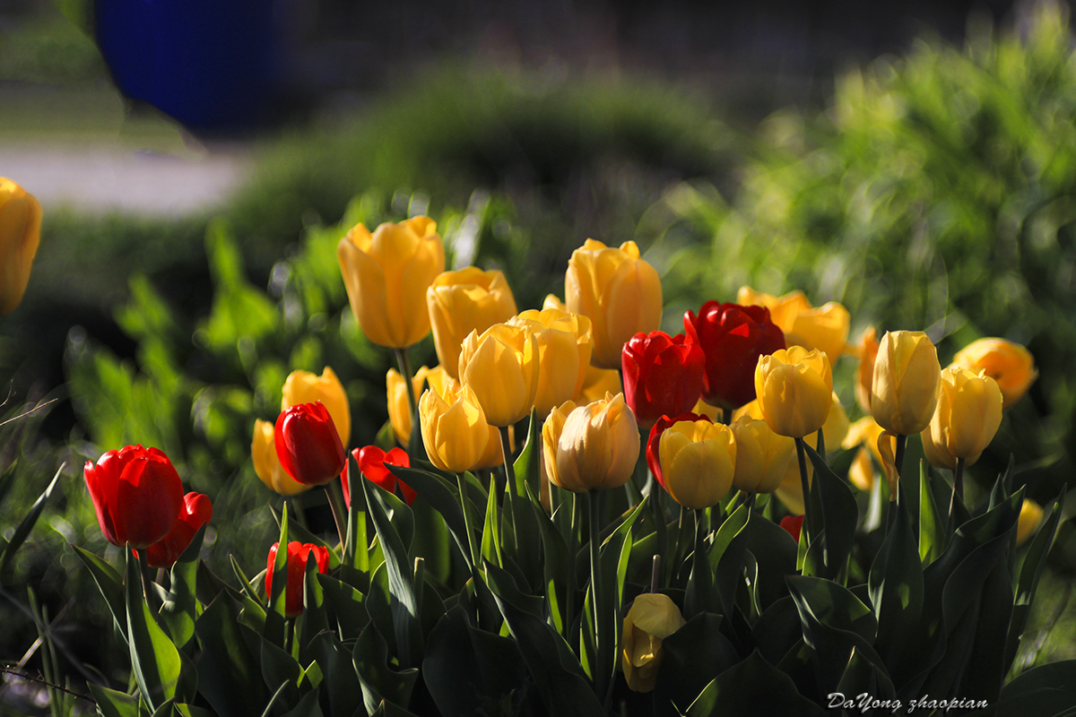 IMG_8196-1.jpg