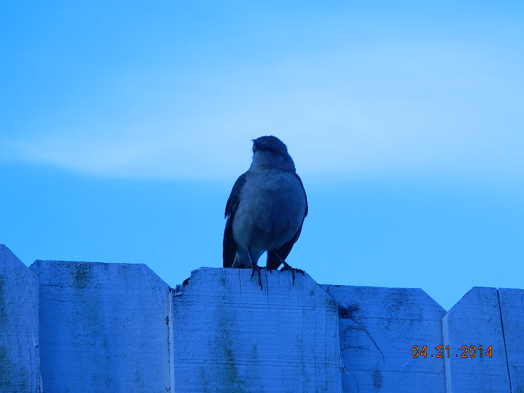 DSCN3888.JPG