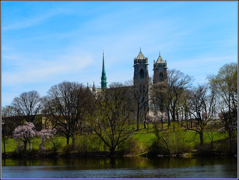 DSC_9854_.jpg