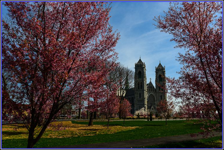 DSC_9709.jpg