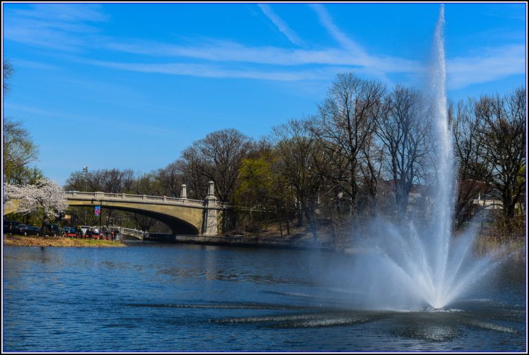 DSC_9905_.jpg