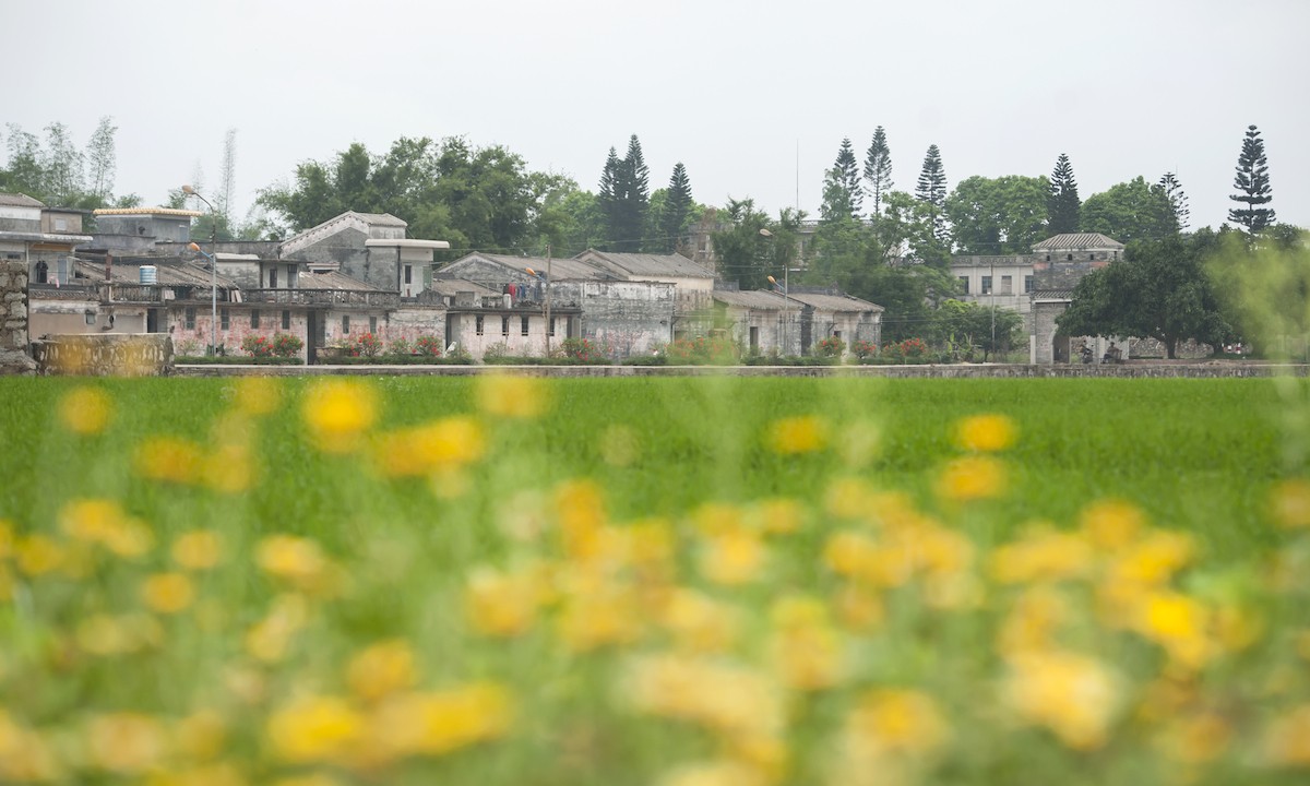 QQͼƬ20140425072731.jpg