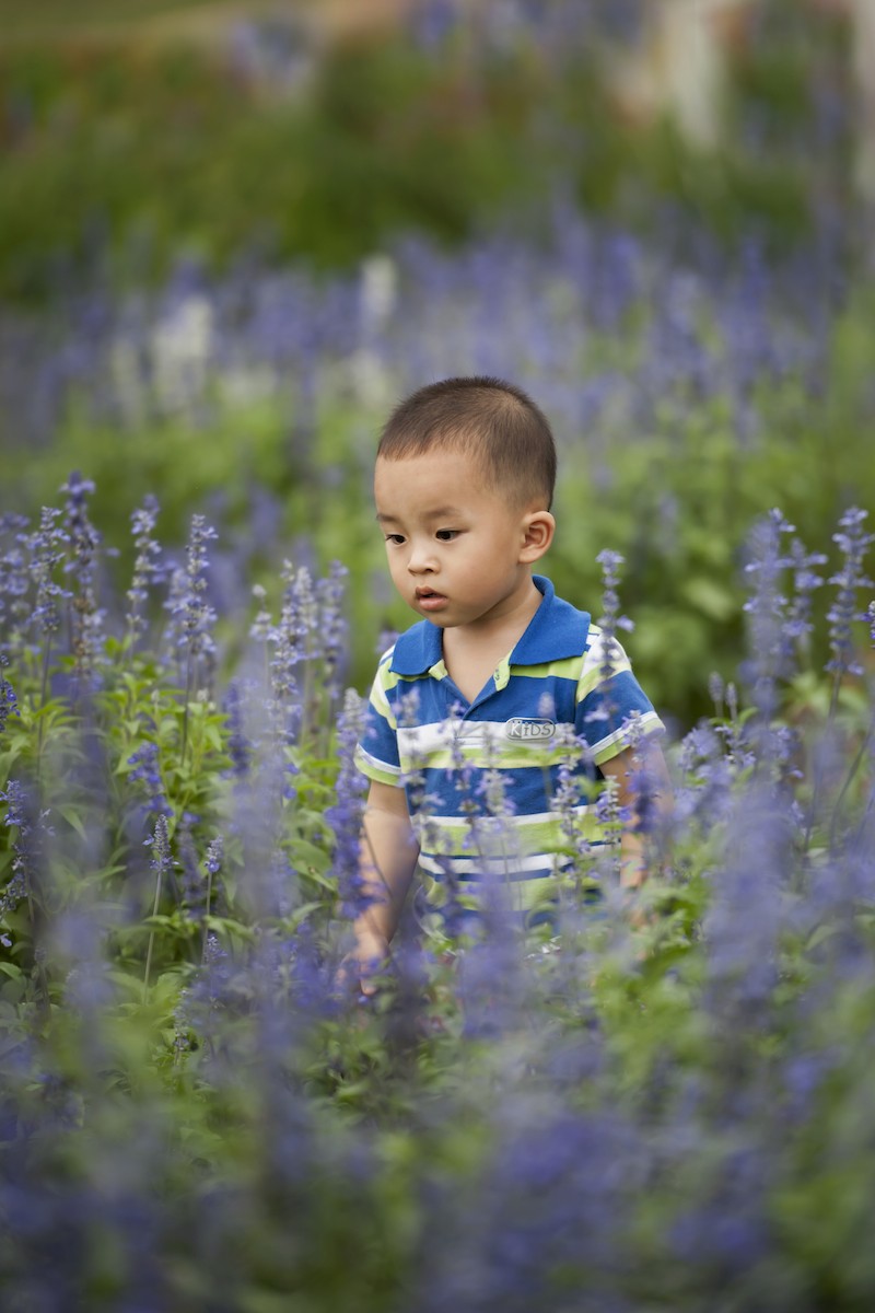 QQͼƬ20140427081117.jpg