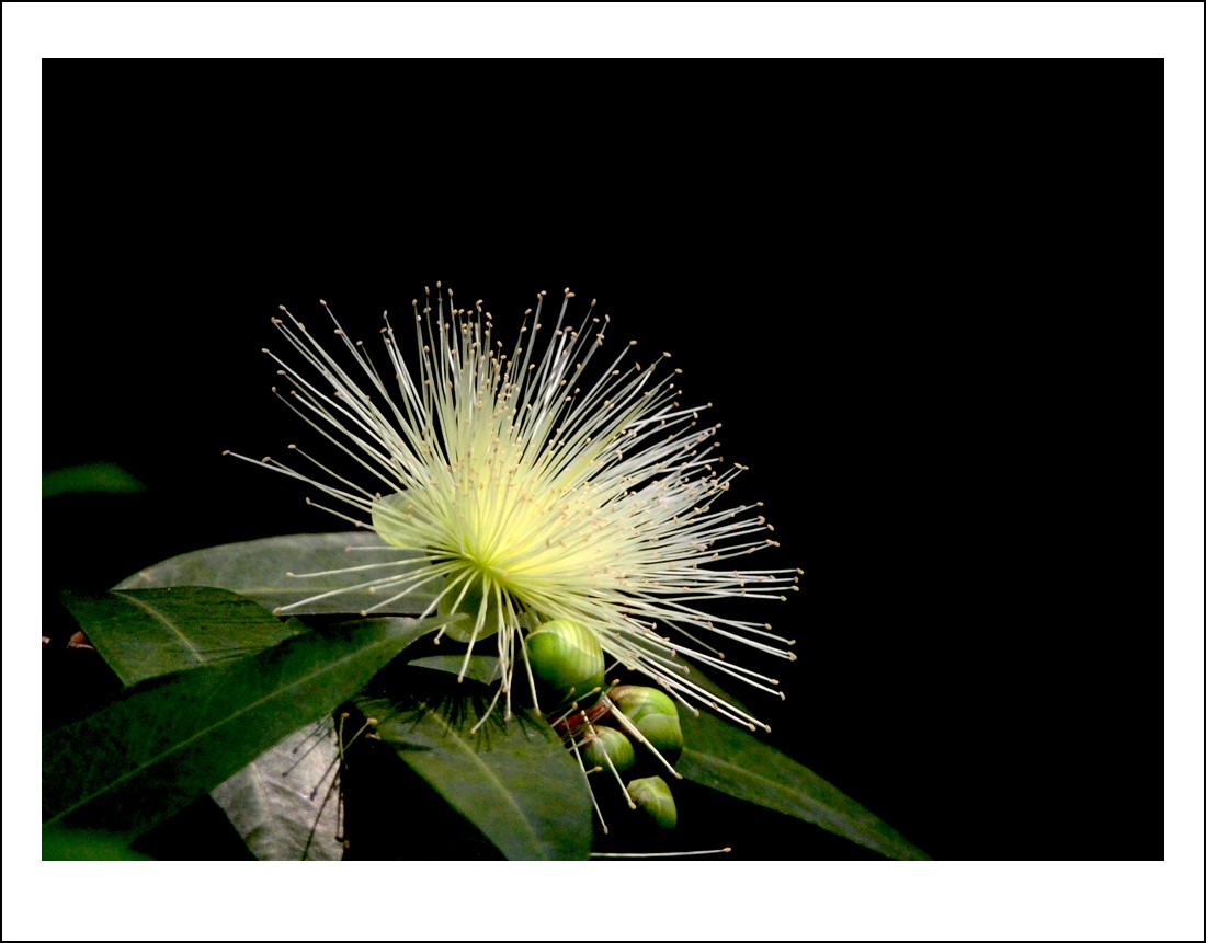 DSC_0768_conew1.jpg
