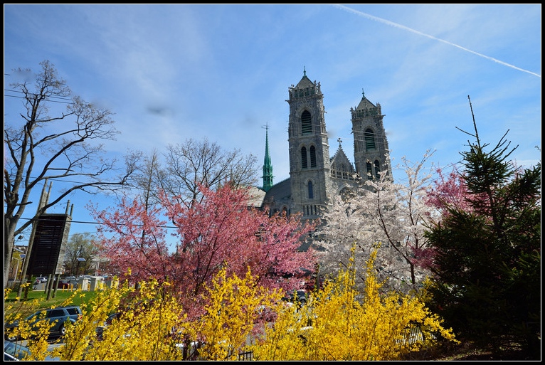 DSC_5871.jpg