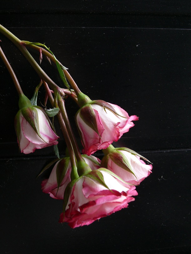 L1450618.JPG