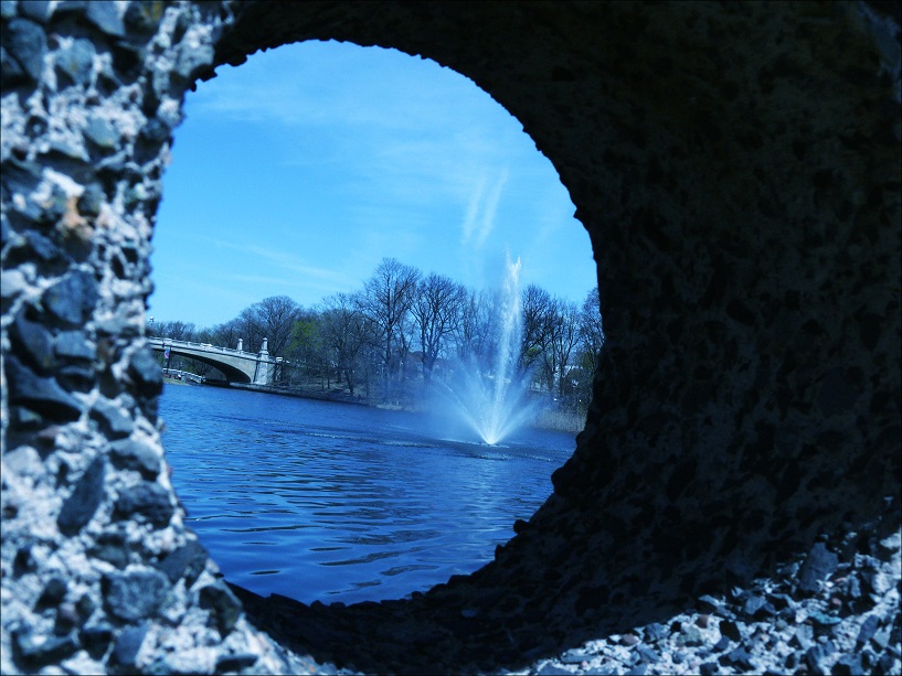 l1440777_conew1.jpg