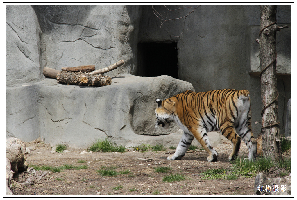 _MG_0064.JPG