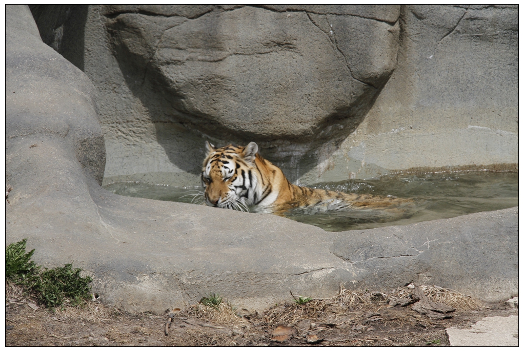_MG_0080.JPG