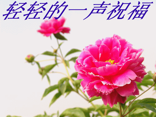 214_6913_fe5f5525f986005.gif