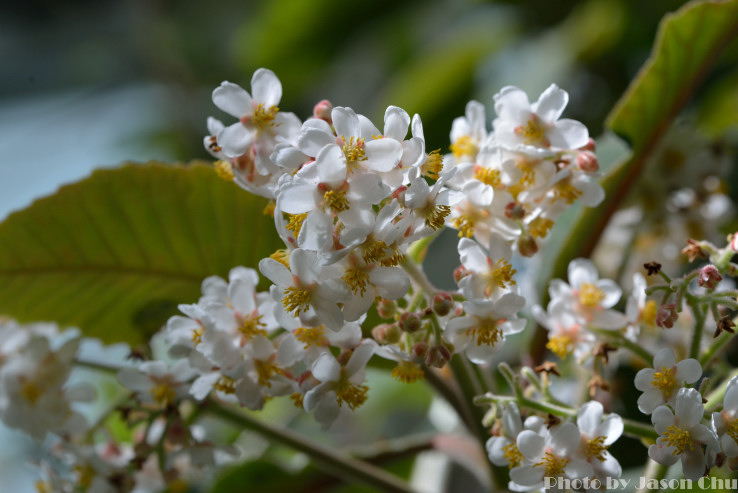 DSC_2284.JPG