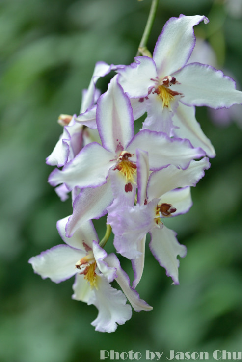 DSC_2432.JPG