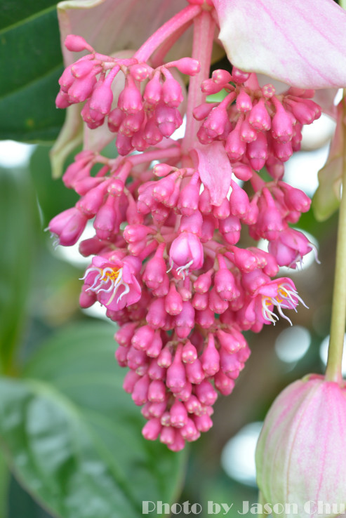 DSC_2401.JPG