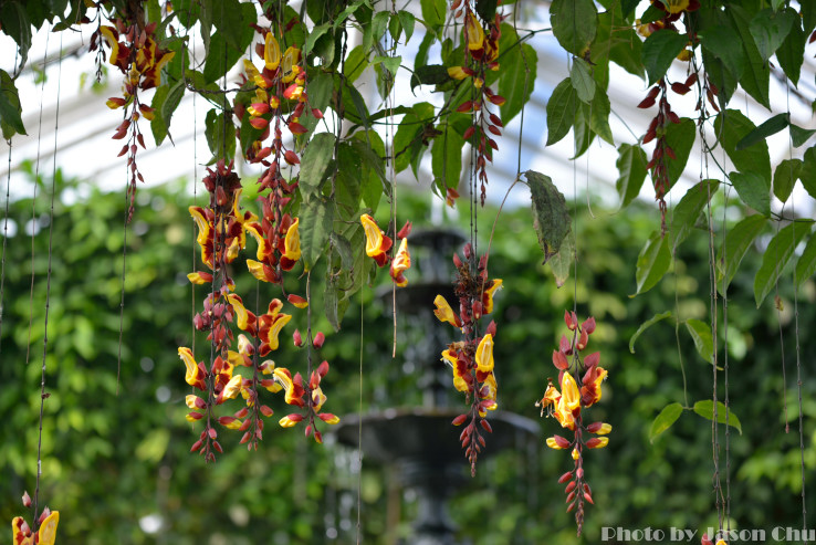 DSC_2255.JPG
