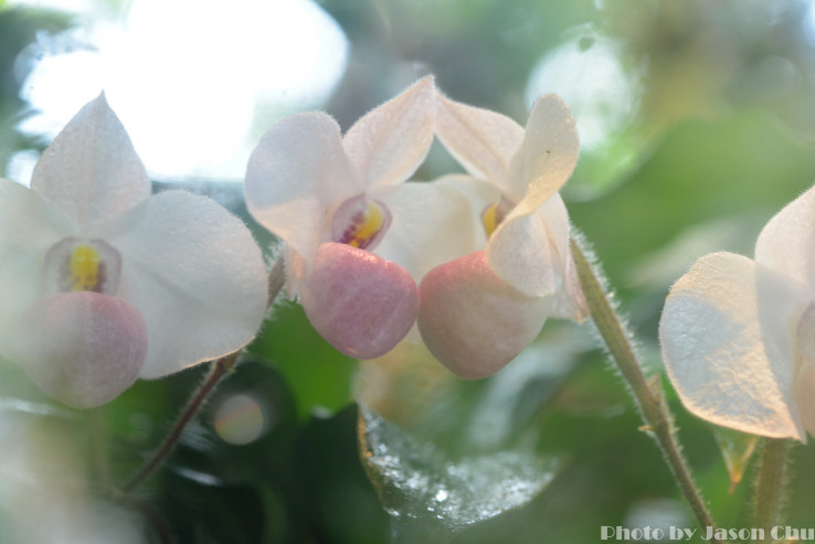 DSC_2288.JPG