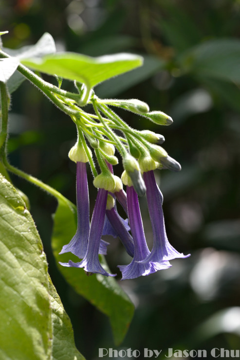 DSC_2302.JPG