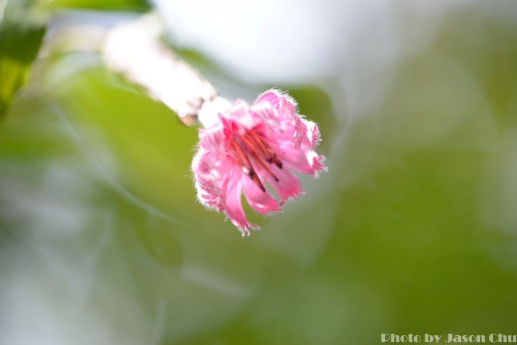 DSC_2304.JPG