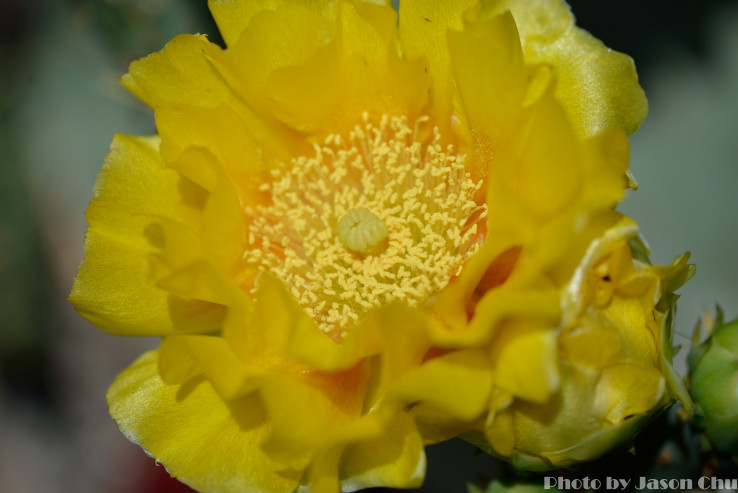 DSC_2340.JPG