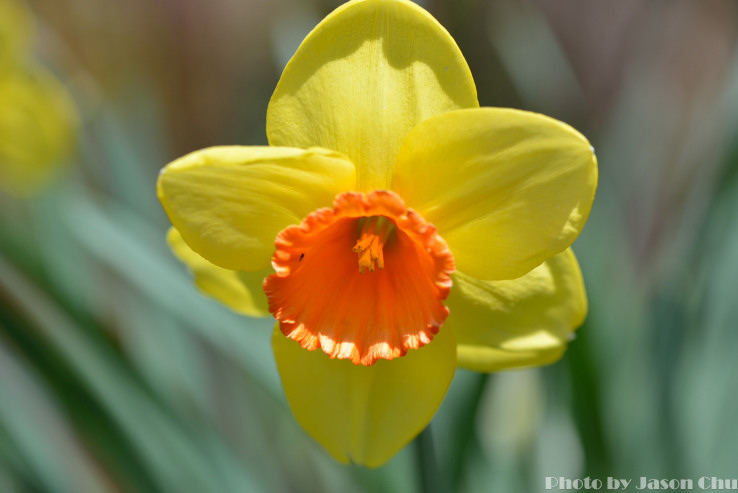 DSC_2474.JPG
