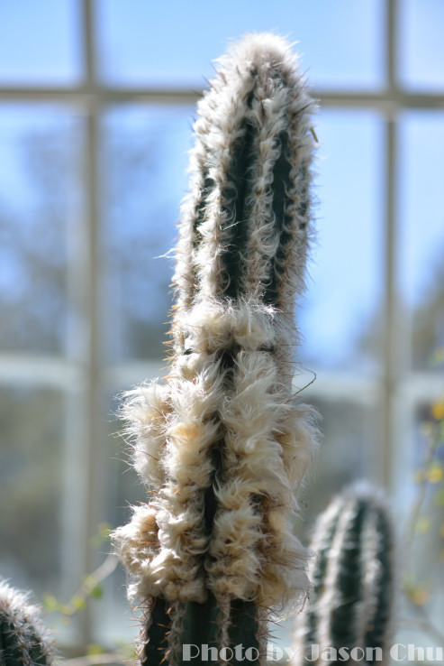 DSC_2370.JPG
