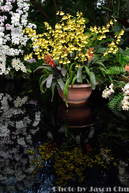DSC_2203.JPG
