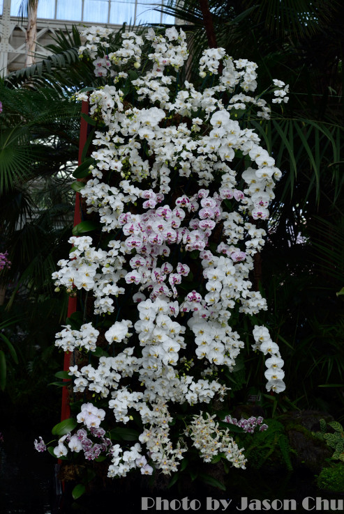 DSC_2211.JPG