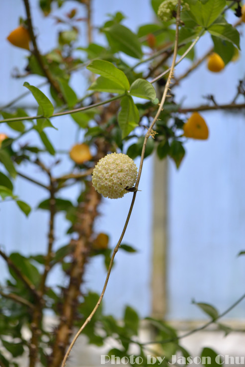 DSC_2274.JPG