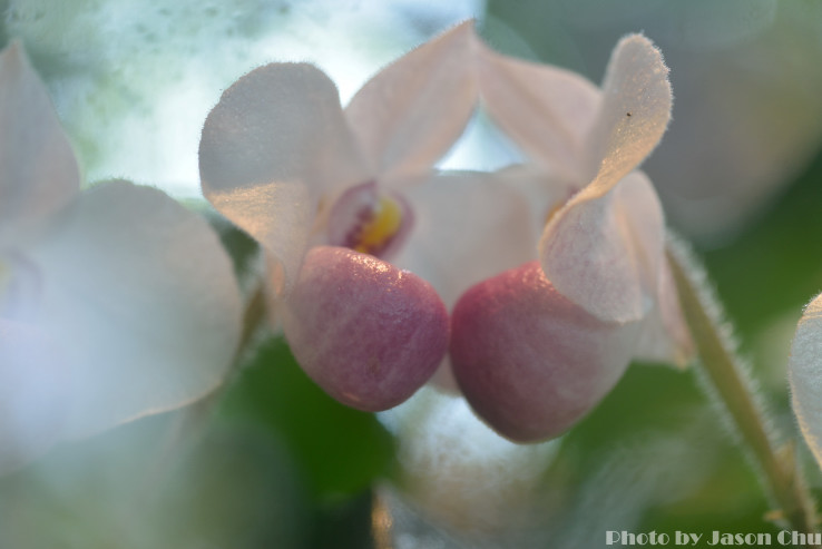 DSC_2286.JPG