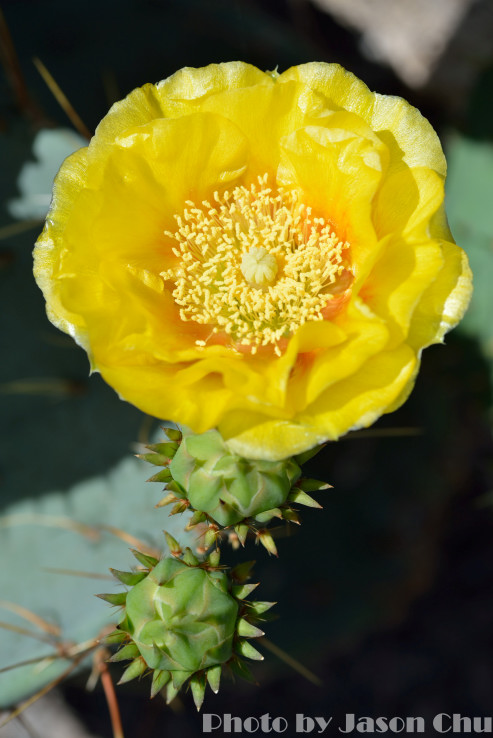 DSC_2343.JPG