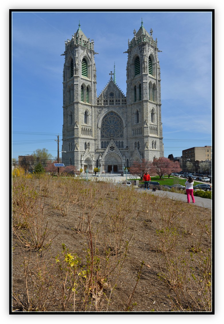 DSC_0456.jpg
