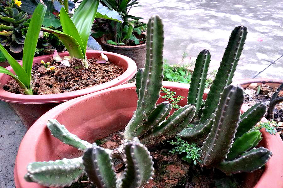 20140404_155253.jpg
