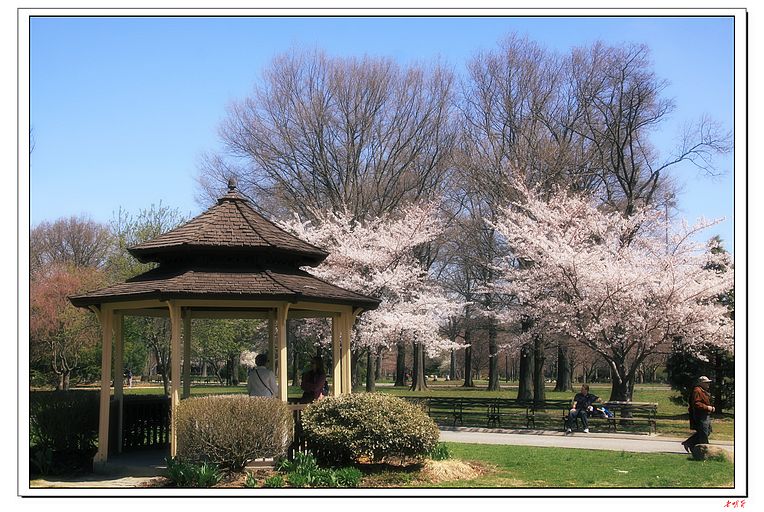 ӣ��(2014) 1032-1.jpg