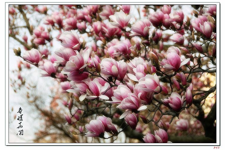 ҹ������ 149-1.jpg