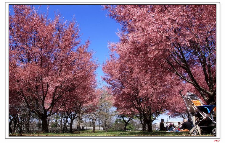 ӣ��(2014) 1022-1.jpg