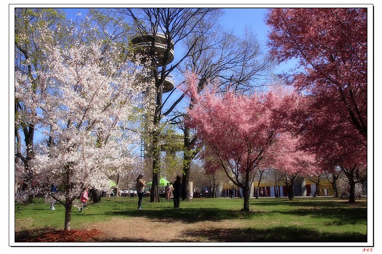 ӣ��(2014) 131-1.jpg