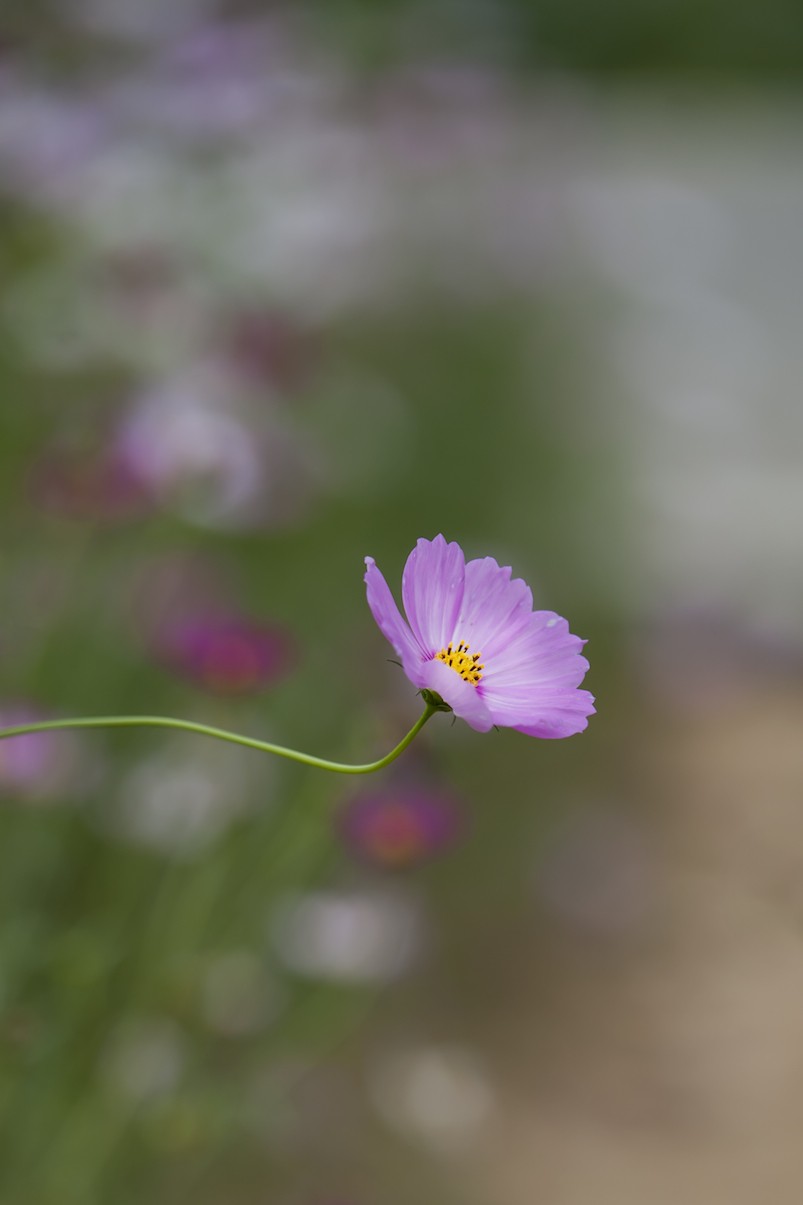 QQͼƬ20140427141615.jpg