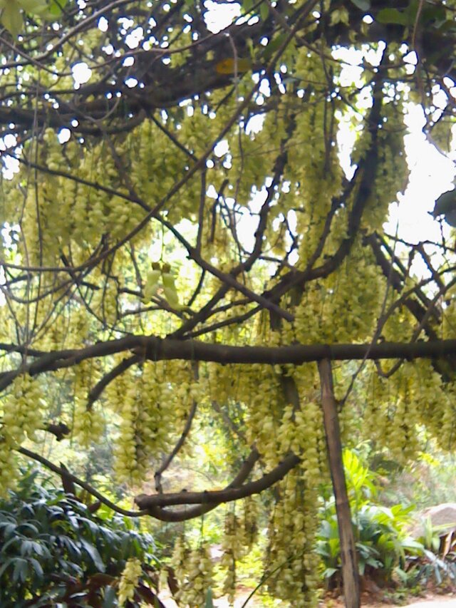 2014032530.jpg