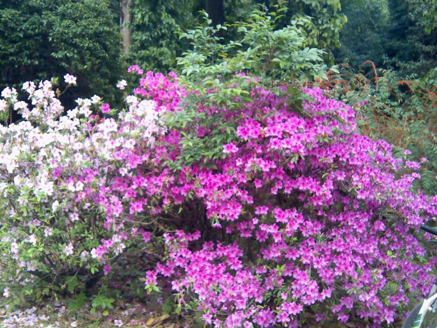 201403258.jpg