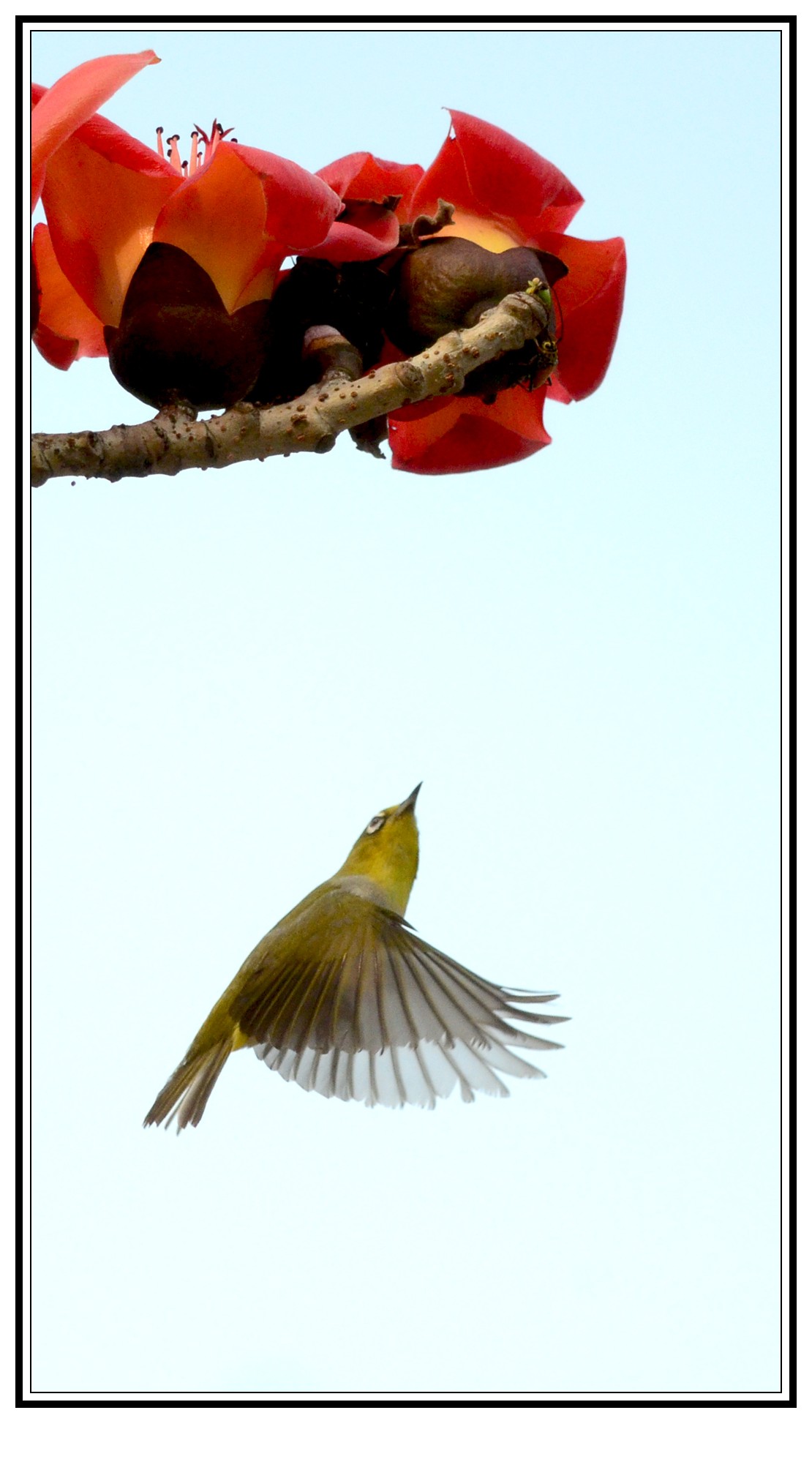 DSC_0586_conew1.jpg