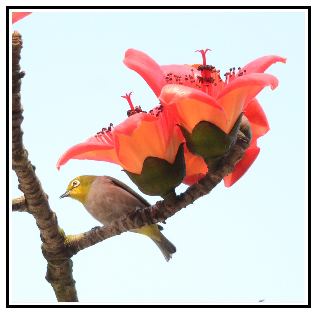 DSC_0375_conew1.jpg